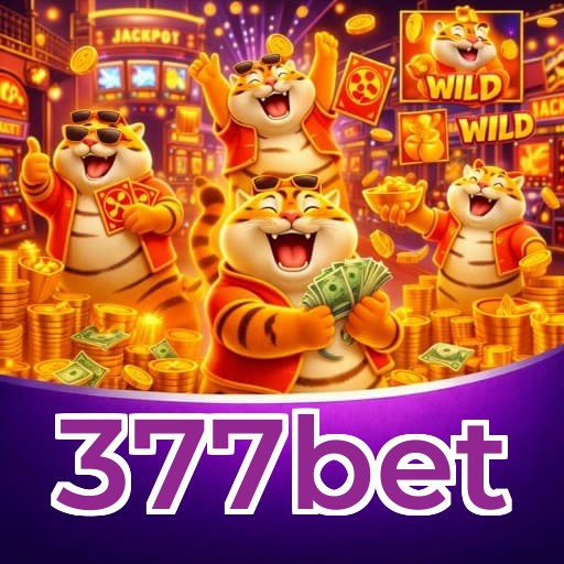 Comparação APP mobile vs versão web da 377bet