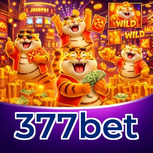 Grandes vencedores 377bet de São Paulo, Rio de Janeiro, Belo Horizonte - Saques PIX confirmados